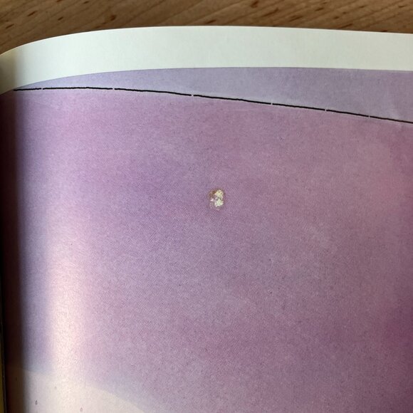 We Got My Brother at the Zoo by John and Ann Hassett - GOOD CONDITION - Picture 7 of 11